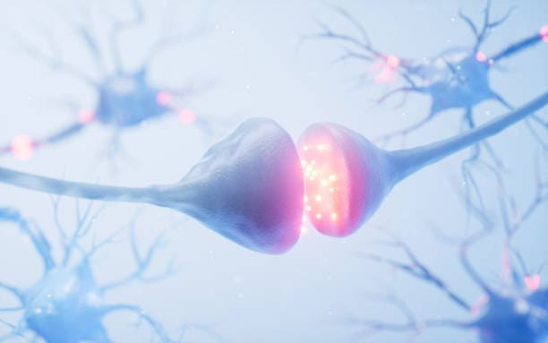 Équilibre Hormonal