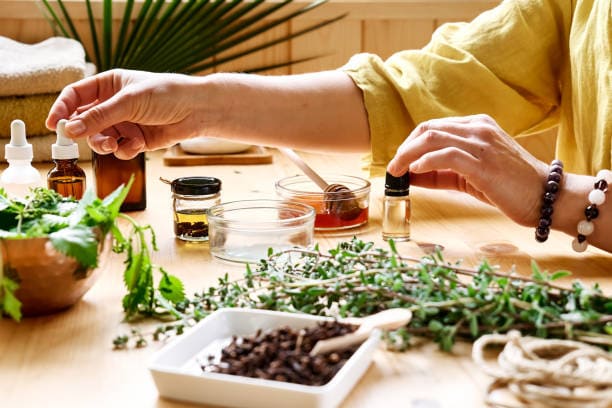 Plantes médicinales
